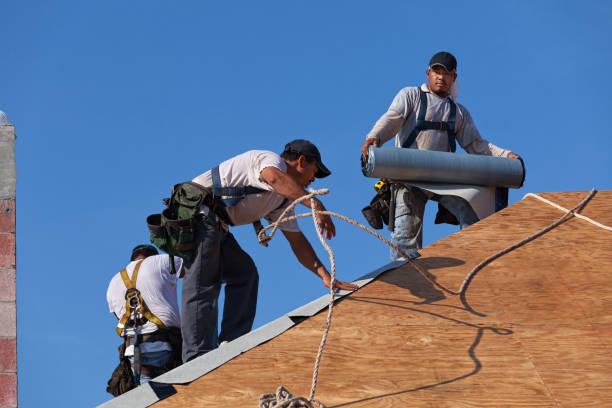 Best Gutter Installation and Roofing  in Mount Ephraim, NJ